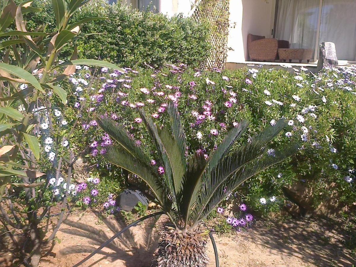 Apartament Leon Maleme Do 6 Os. Appartement Buitenkant foto