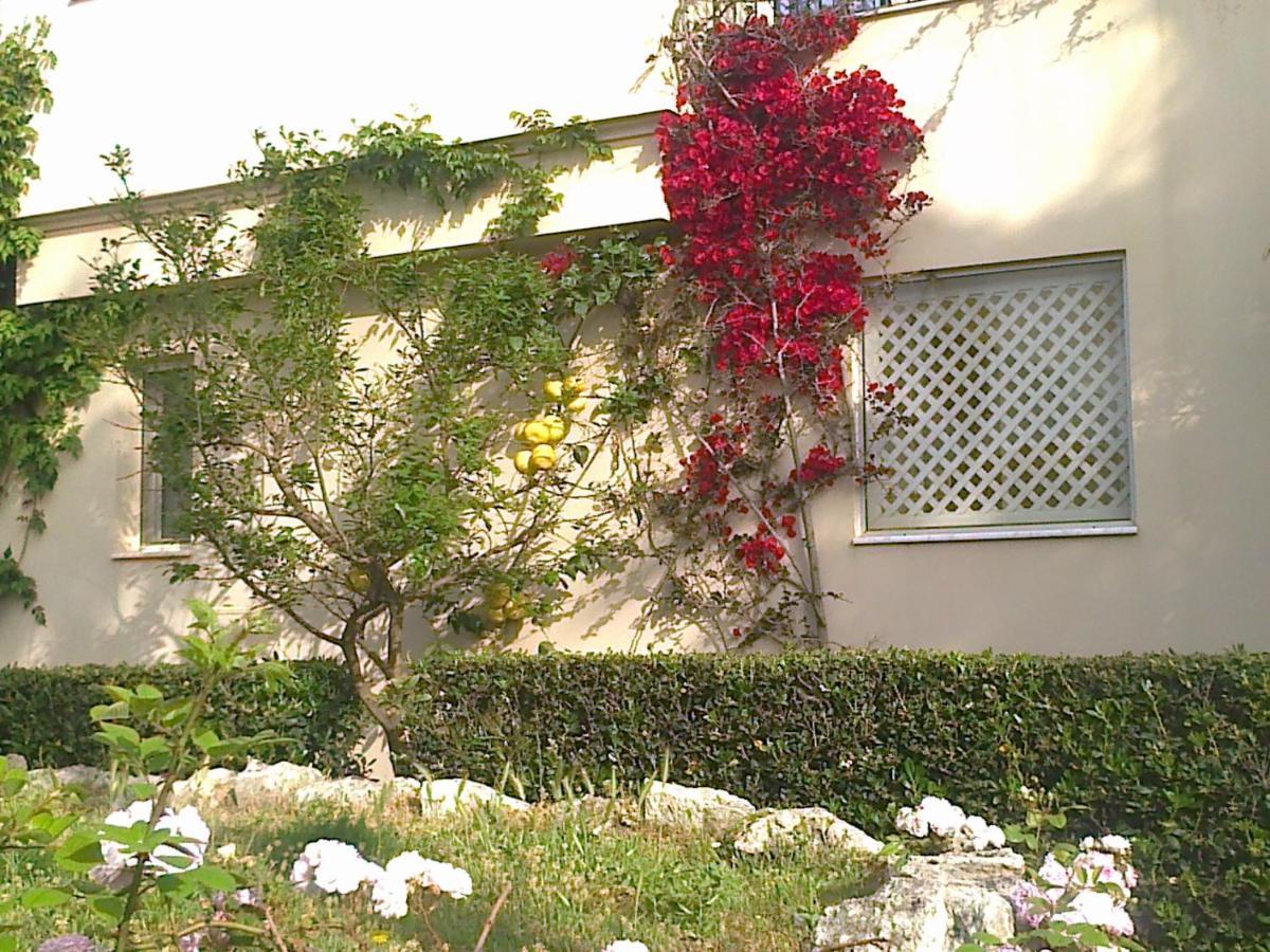 Apartament Leon Maleme Do 6 Os. Appartement Buitenkant foto